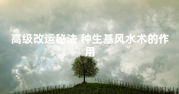 高级改运秘法 种生基风水术的作用